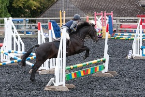 Class 3 -  Fences not above 2'3